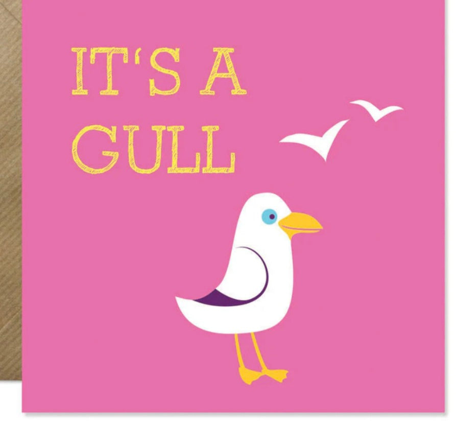 It's a Gull. New baby girl card. Bold Bunny